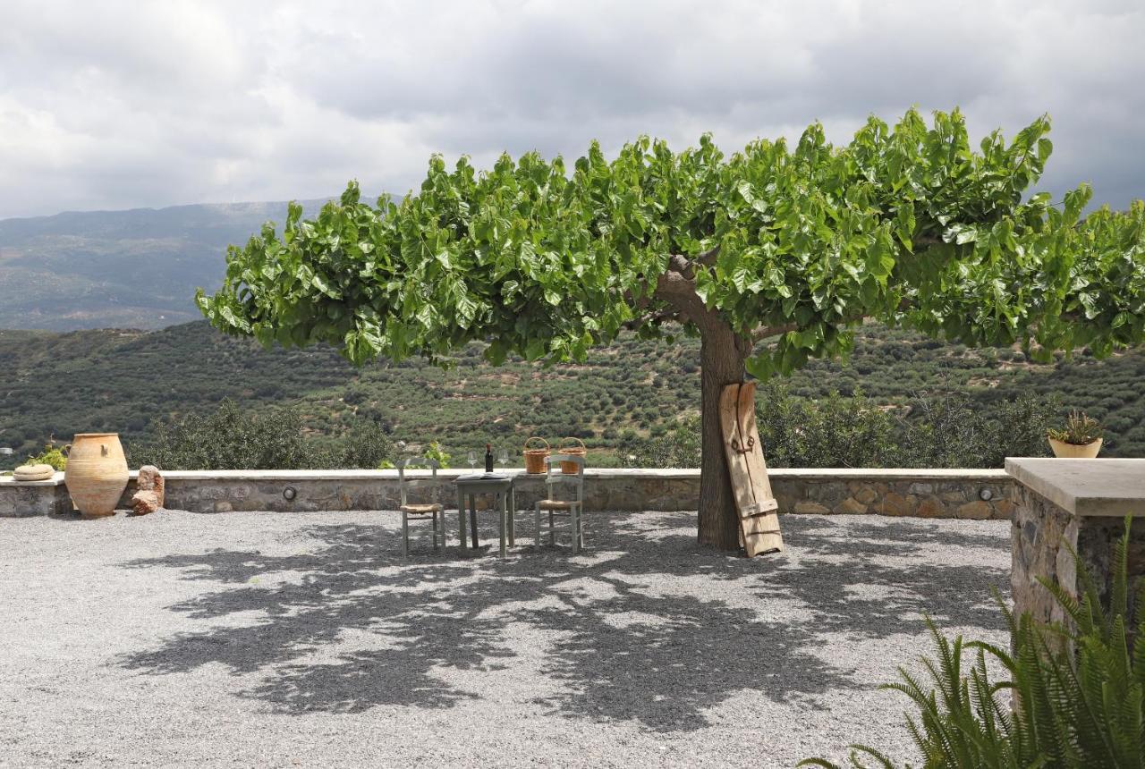 Amvikas Suites-Sitia Exterior foto